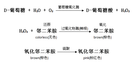 葡萄糖(GO)檢測試劑盒原理圖 葡萄糖(GO)檢測試劑盒原理圖